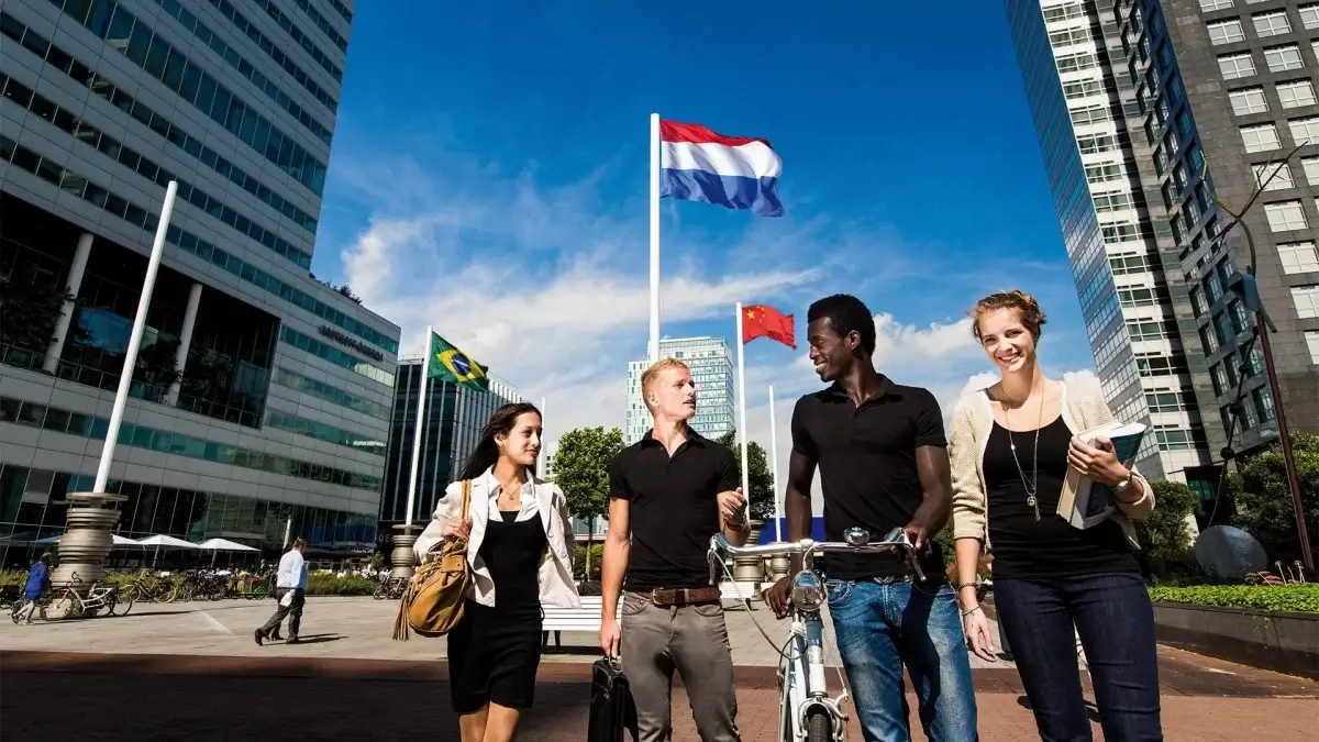 رشته‌های پرطرفدار برای تحصیل در هلند